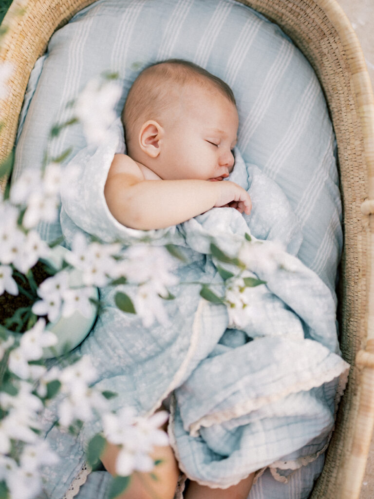 Baby basket photo sleeping chunky baby