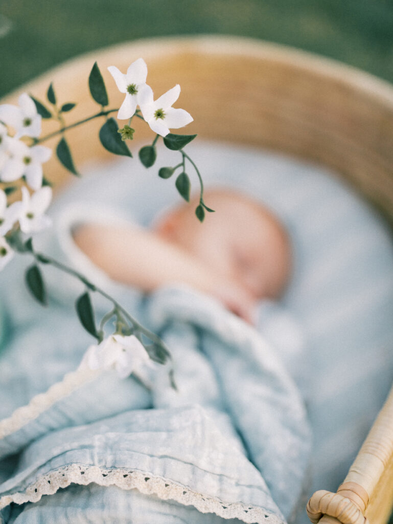 Baby basket photos white flowers