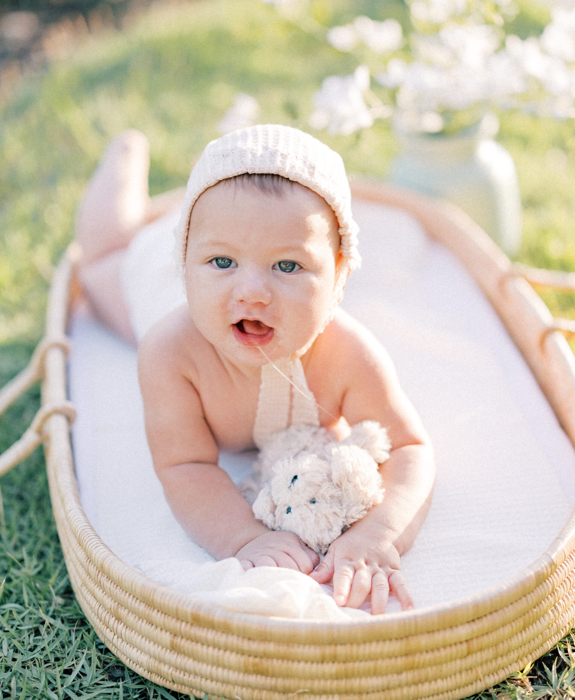 Baby basket photo at sunset by Cynthia Knapp Photography Fort Worth Photographer